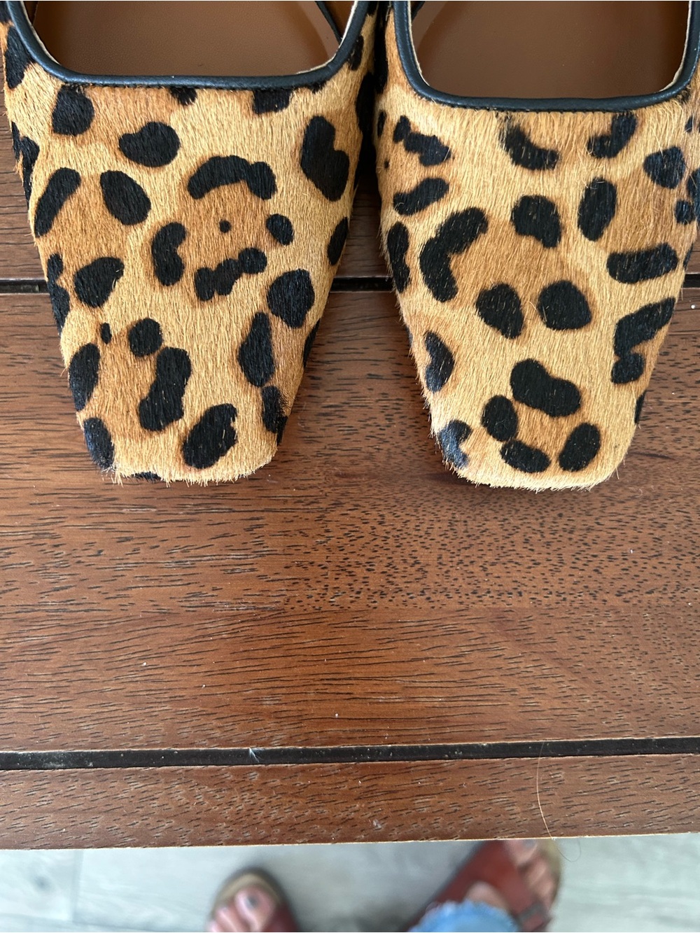 Franco Sarto Leopard Print Slingback Pointed Toe Mules - Tan & Black - Picture 8 of 16